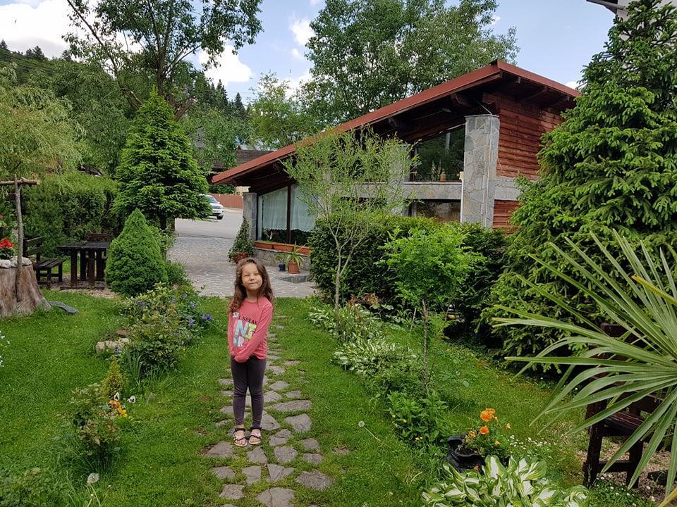 Pensiunea Liziera Busteni Luaran gambar