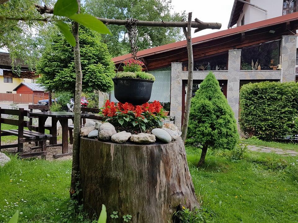 Pensiunea Liziera Busteni Luaran gambar